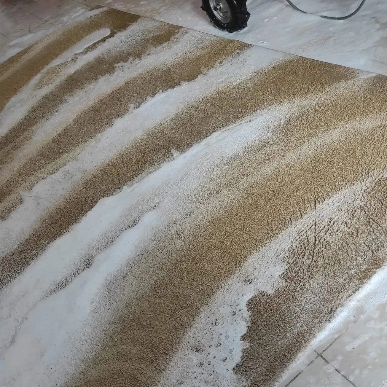 Pjena šampona tijekom strojnog pranja tepiha